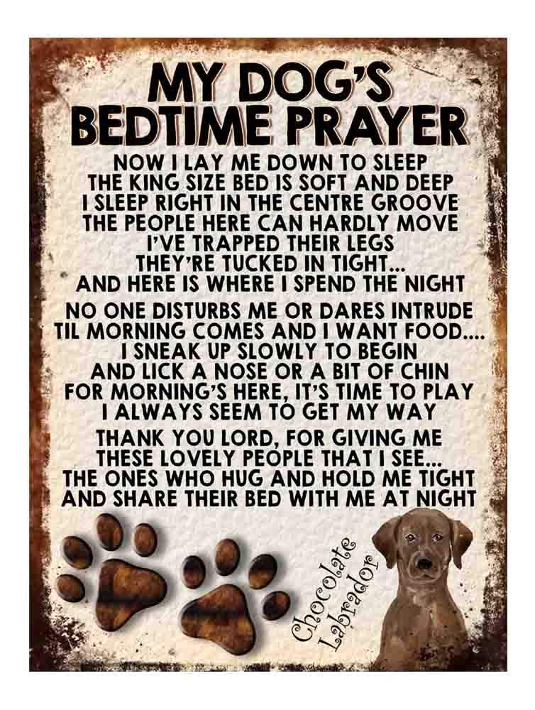 Shawprint Limited Labrador - Chocolate Shawprint My Dog's Bedtime Prayer Retro Style Metal Tin Sign/Plaque, Labrador-Chocolate, 4" X 3" Fridge Magnet