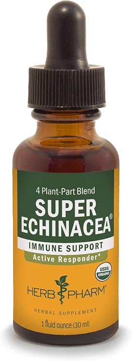 Amazon.com: Herb Pharm Extracto líquido orgánico certificado Super  Equinácea para apoyo activo del sistema inmunológico – 1 onza (DSUPER01) :  Salud y Hogar
