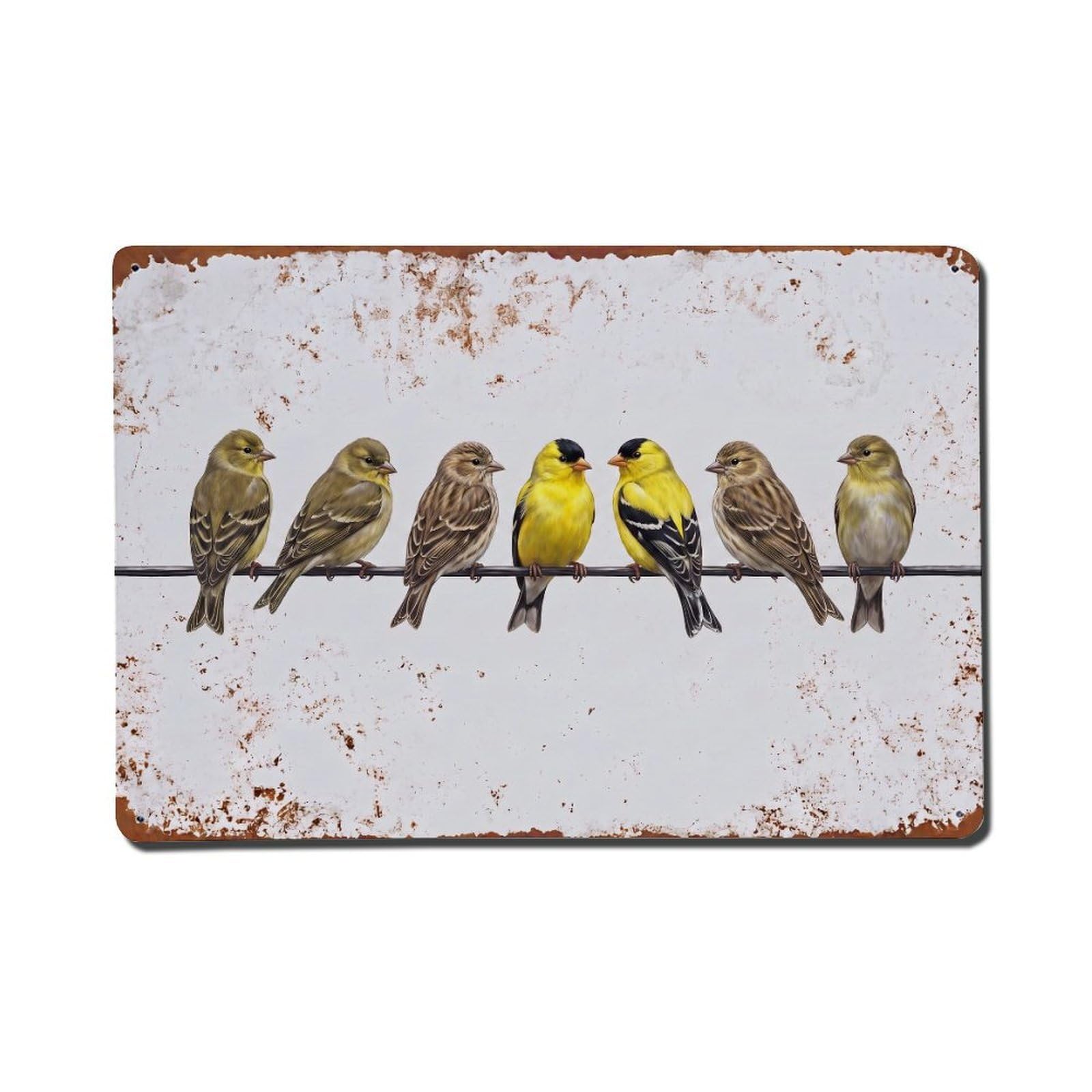 Vintage Retro Birds Goldfinch Metal Tin Sign