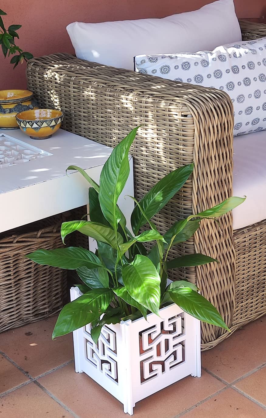 Macetero Decorativo PVC | Celosía Jardín | Maceteros Decorativos, Cubre Macetas PVC, Maceteros Jardín Terraza Exterior, Cubierta de Maceta Interior. (45x45 cm, Modelo Moderno)