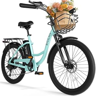 24'' Electric Bike for Adults