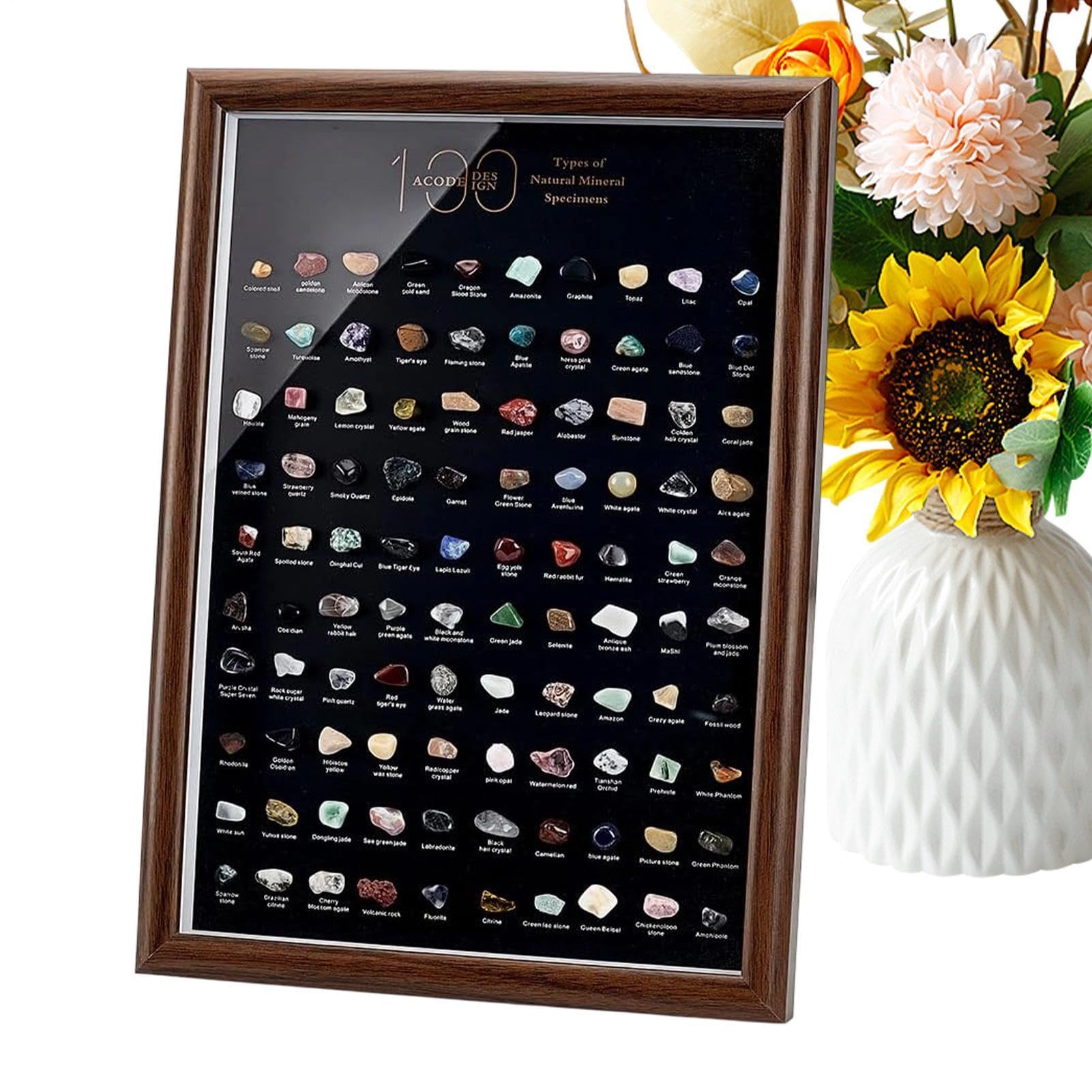 Colección de Cristales para los niños Surtido Aprendizaje geología