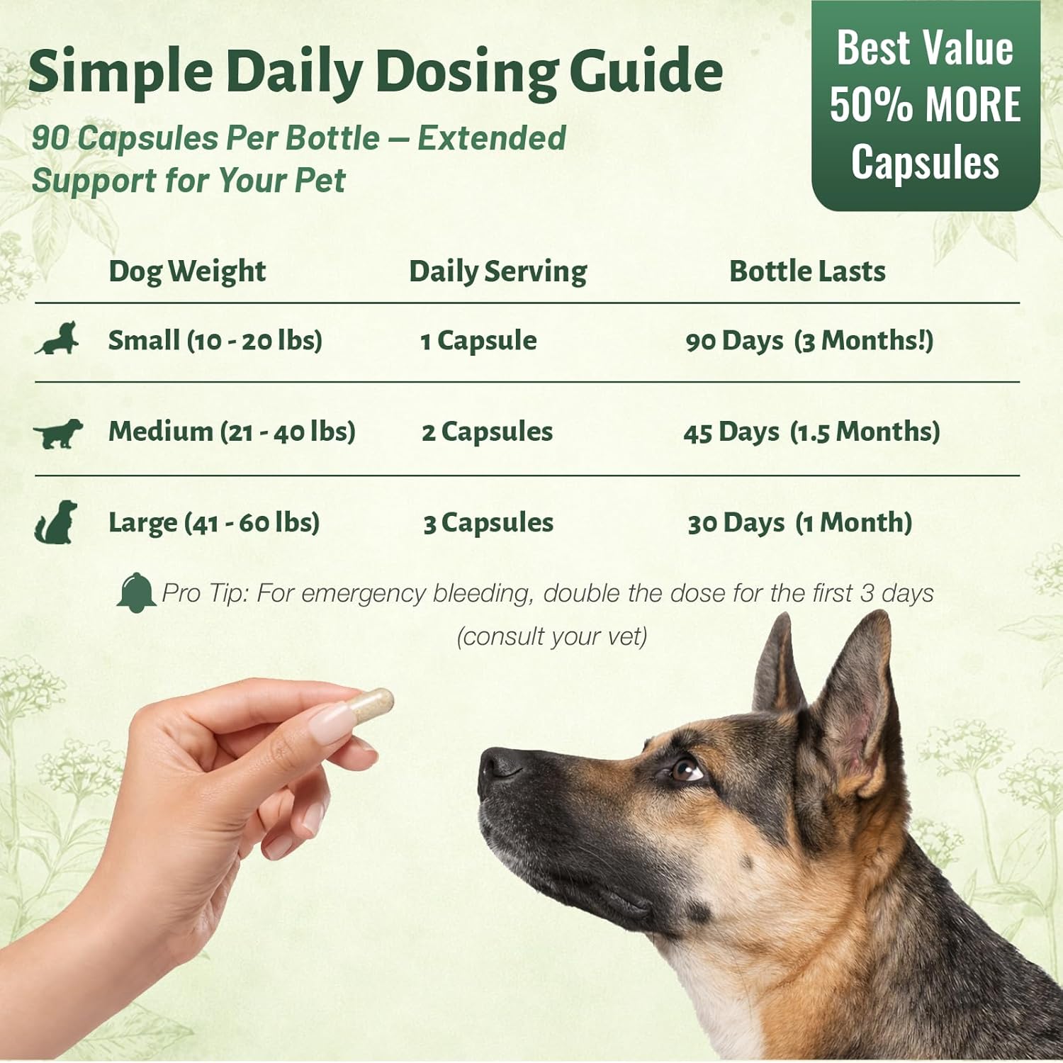 Sanqi Capsules for Dogs – Natural Herbal Quick Stop Bleeding & Blood Support for Hemangiosarcoma, Hemoabdomen, Pericardial Effusion, Cancer Bleeding, Ulcers & Bloody Stools – 90 Capsules