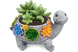 ASDFG Turtle Succulent Planter - Sweet Ceramic Home for Your Greenery
