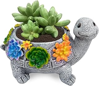 ASDFG Plant Pots Art Turtle Succulent Pot Planters with Drainage Hole, Flower Garden Decoration Pots, Cactus Home Office Desk Garden Decor, Indoor and Outdoor Planter Plants Lovers Gifts for Woman