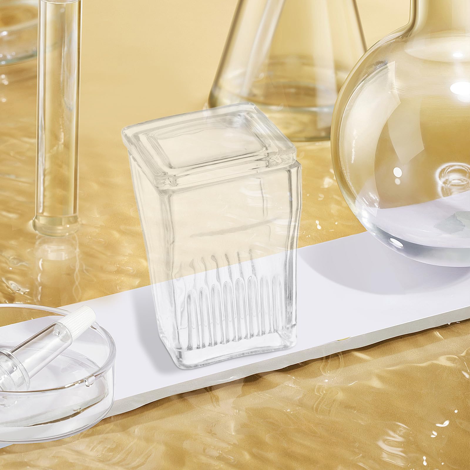 2 pezzi Barattoli da Laboratorio in Vetro con Coperchio per Colorazione Vetrini Vaschetta Verticale Trasparente per Vetrini Design Salvaspazio per Biologia Medicina e Chimica