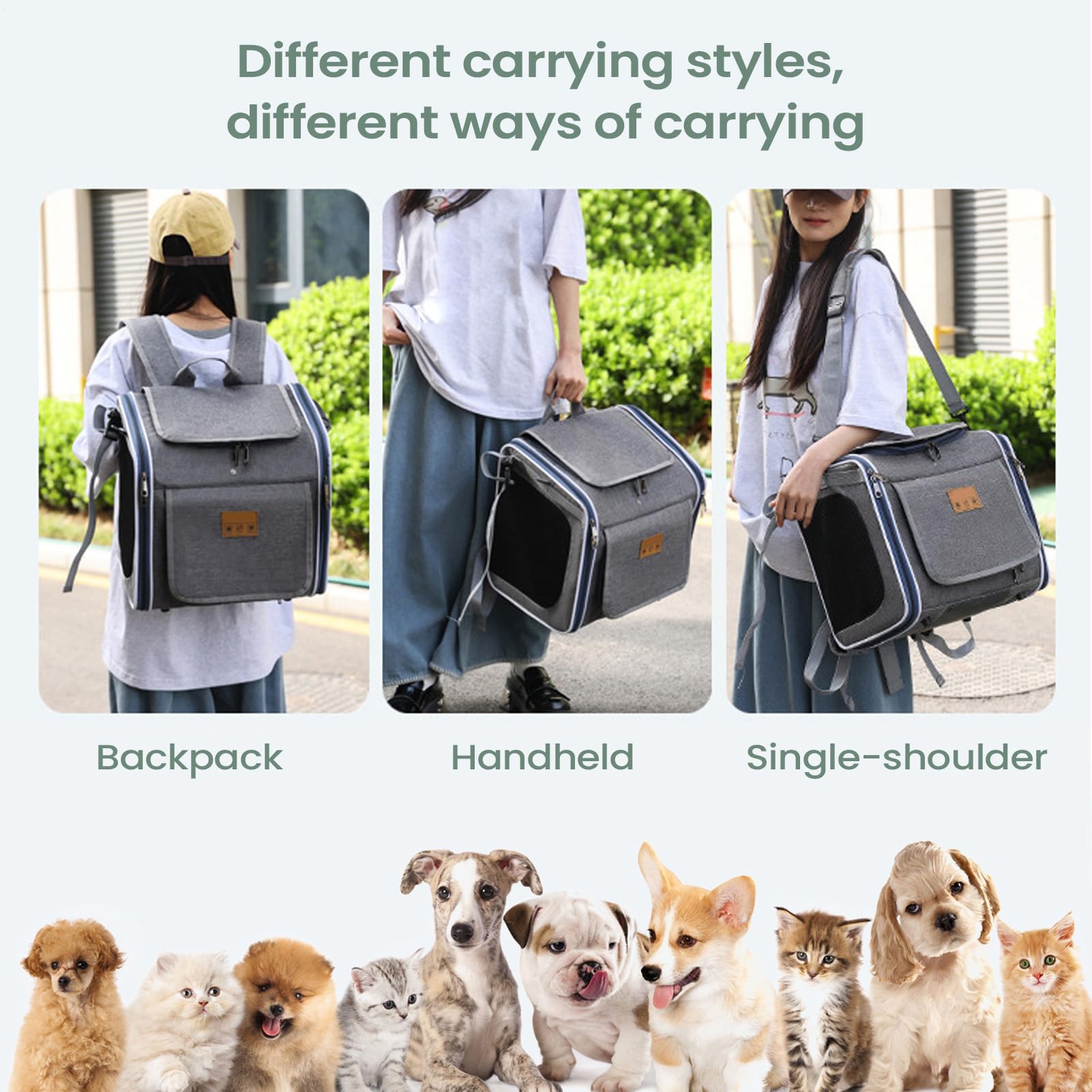 Cesta Para Perro De Bicicleta Portabicicleta Para Mascotas En El Manillar | Mochila Elevadora Para Mascotas En Bicicleta Para Paseos Senderismo Compras Entornos Urbanos Y Naturales Viajes Y