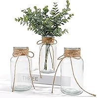 ASHELYULLA Vintage Clear Glass Vases Set of 3 - Farmhouse Wedding Centerpieces, Cylinder Flower Vases with Hemp Rope for Home Decor