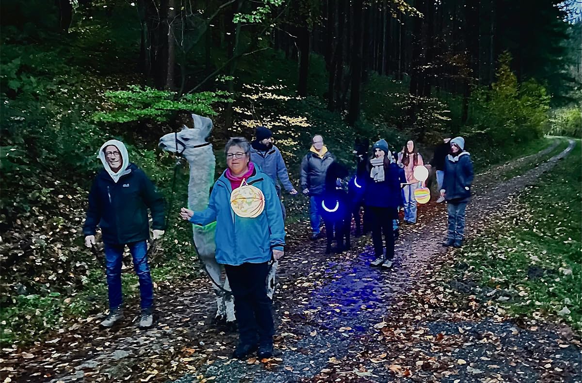 JOCHEN SCHWEIZER Geschenkgutschein: Laternenwanderung mit Alpakas Neckargerach