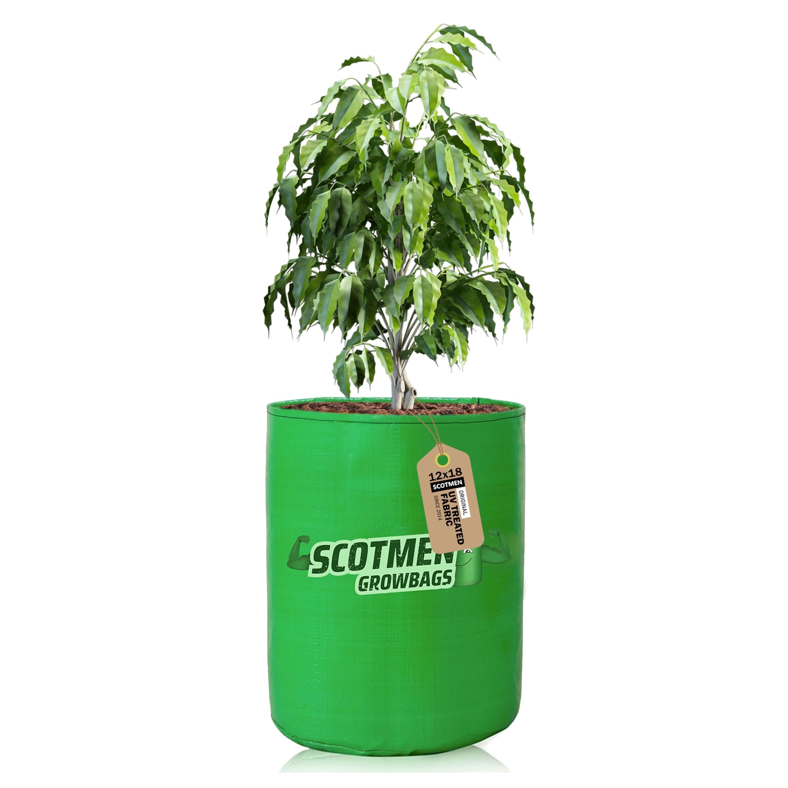 See full amazon price history chart for SCOTMEN HDPE UV Protected Round Shaped Green Colour Plants Grow Bags for Terrace Balcony and Vegetable Gardening 12x18 Inch Pack of 1 Grow Bag SCOTMEN HDPE UV Protected Round Shaped Green Colour Plants Grow Bags for Terrace Balcony and Vegetable Gardening 12x18 Inch Pack of 1 Grow Bag (B0D8WGNTX3) Amazon Price History, Amazon Price Tracker