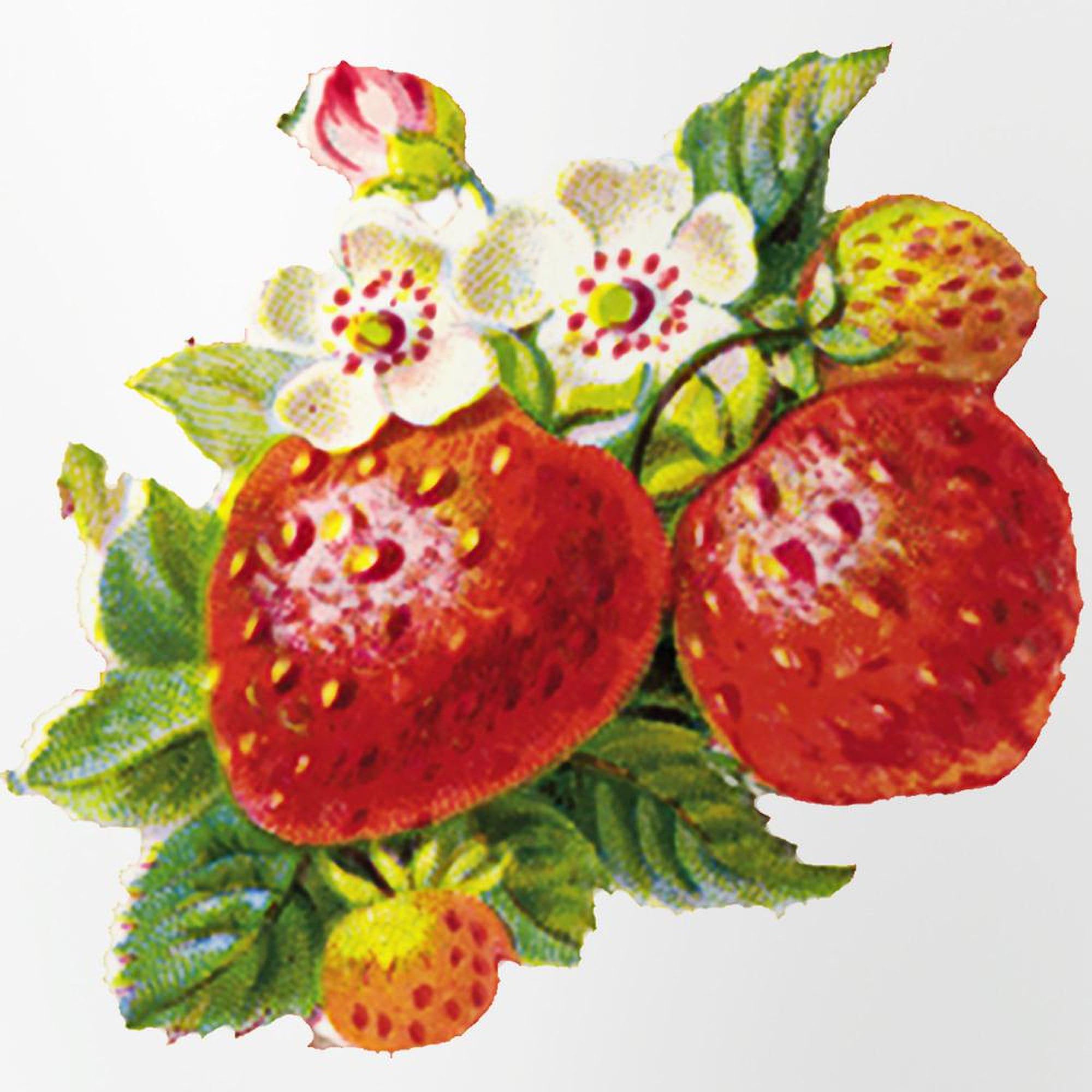 CafePress Retro Strawberry Pint Glass Pint Glass, 16 oz. Drinking Glass