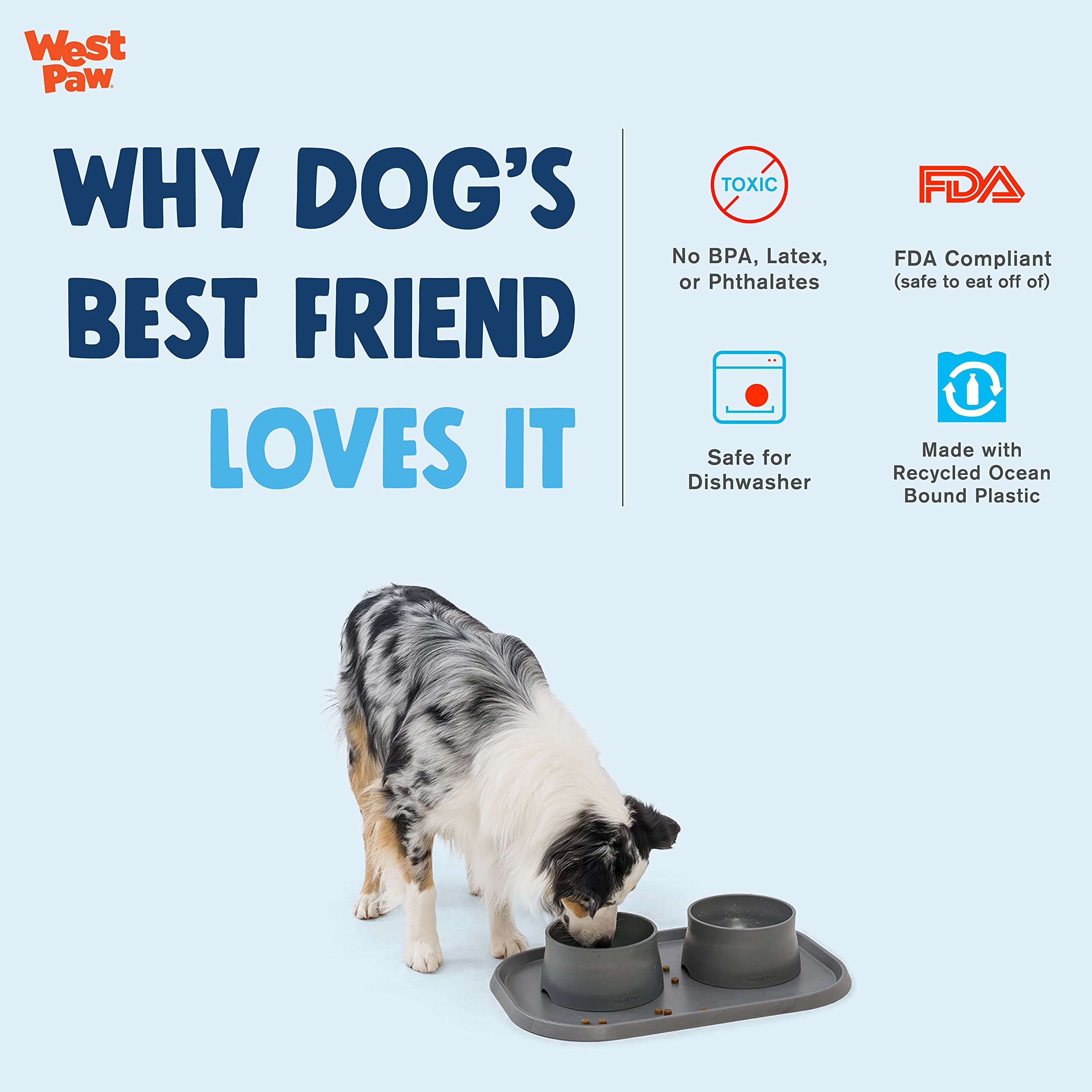 Are Plastic Water Bowls Bad For Dogs