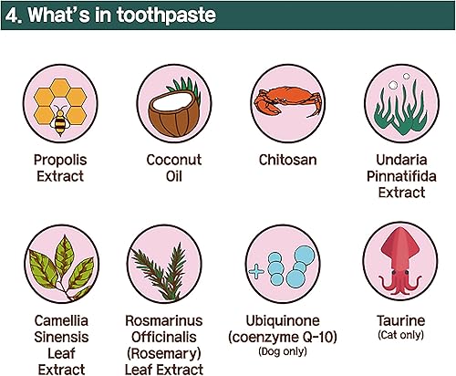 Miniatura 5 de HIBOS Cepillo de dientes para gatos pasta de dientes para cuidado dental kit todo en uno pasta de dientes para gatos en cepillo de dientes