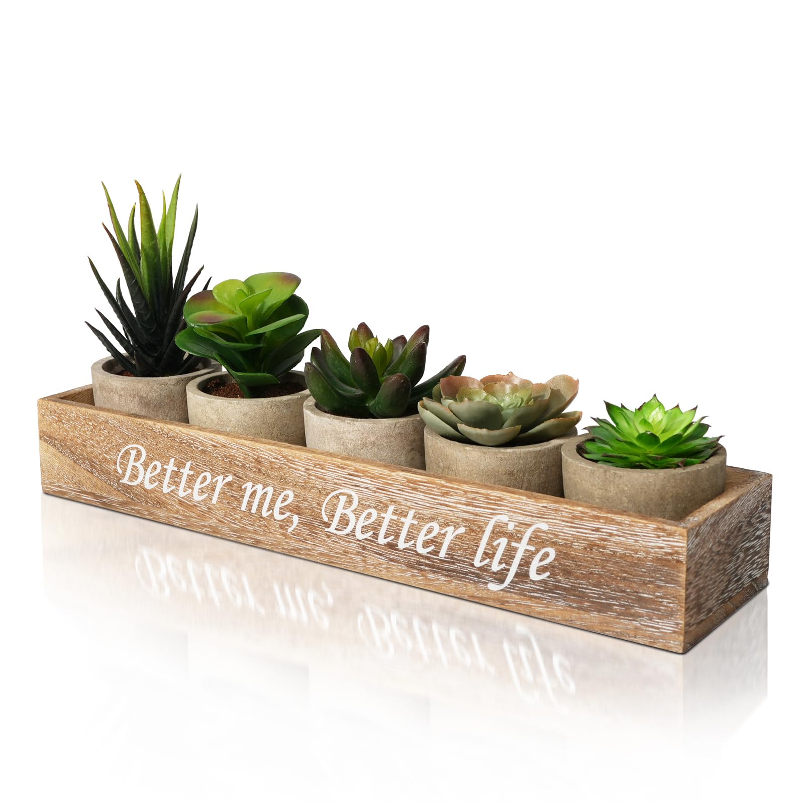 Succulentes Artificielles pour Décoration Maison et Bureau