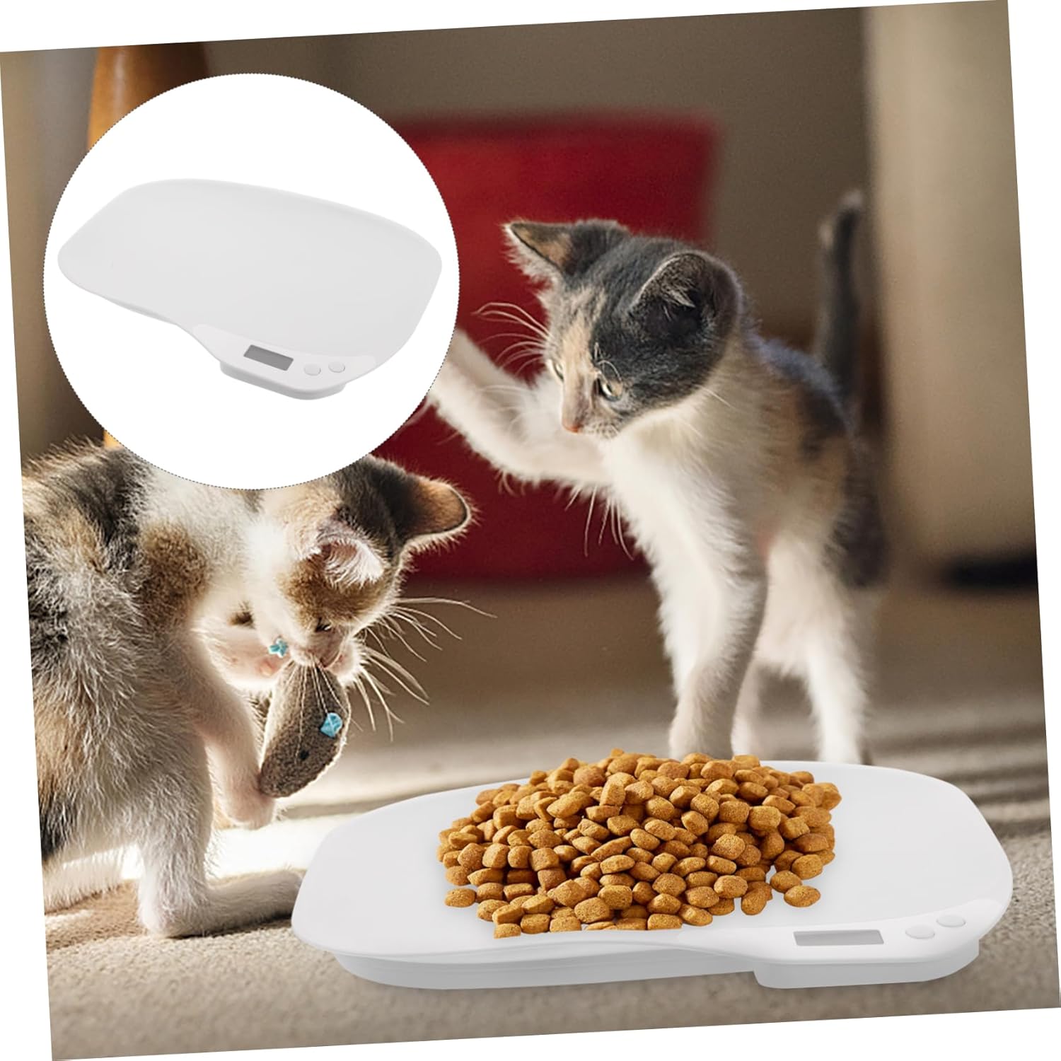 BESPORTBLE Digital Pet Scale Lightweight Electric Scale for Kittens Puppies Led Display High Precision Weighing Portable Design for Easy Use for Pet Owners
