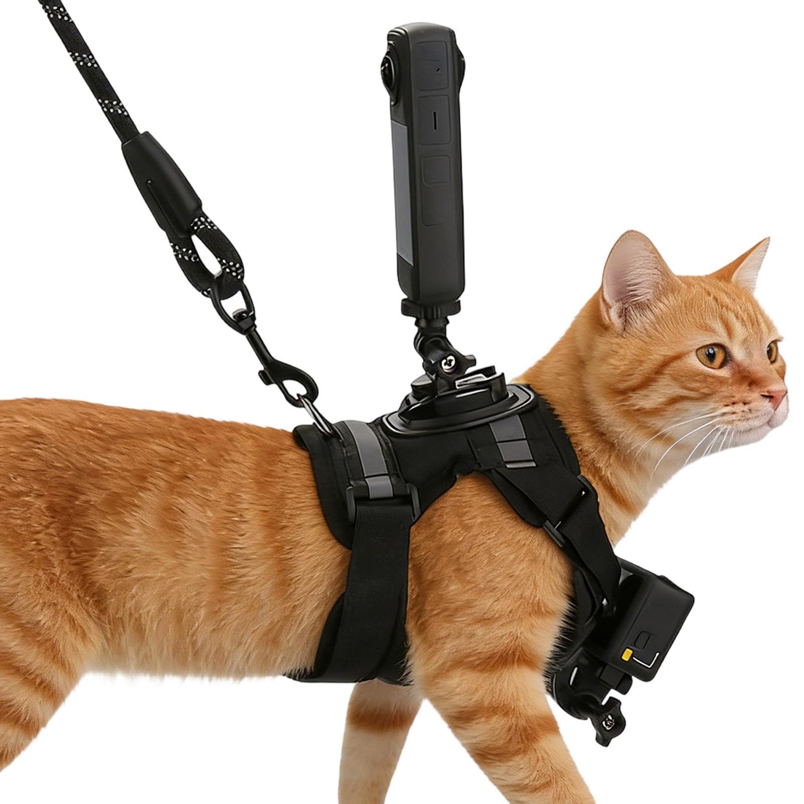Harnais pour chat anti-évasion respirant avec double caméra PE