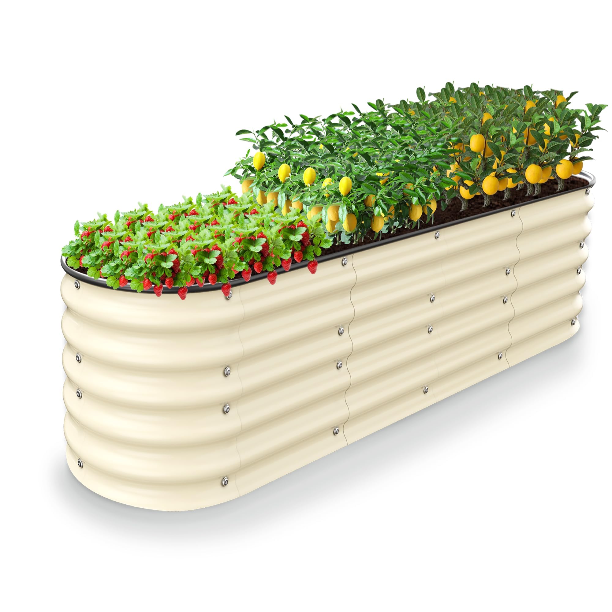 Amazon.com: Nossta Raised Garden Beds 8 X 2 X 1.4Ft, Galvanized