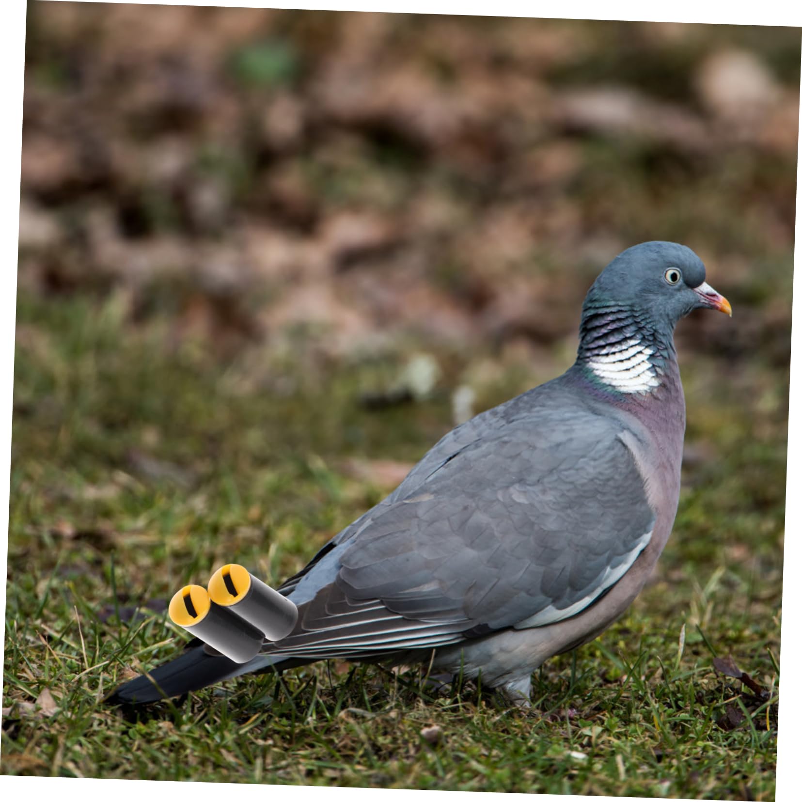 2 stks Metalen Vogelfluitjes Effectieve Training Aid voor Duiven en