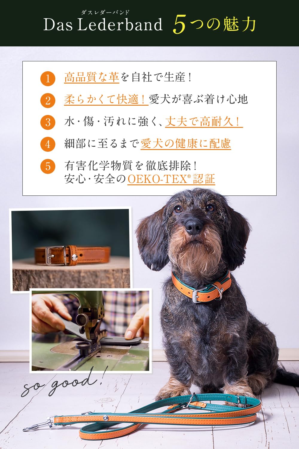 Amazon | ドイツ製 高級本革首輪 Das Lederband レダーバンド