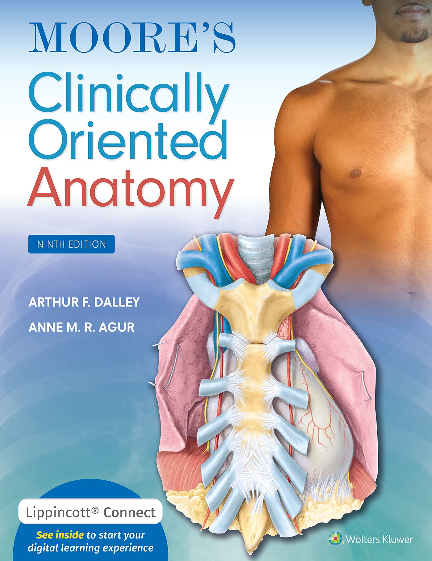 Moore's Clinically Oriented Anatomy : Dalley II PhD FAAA, Arthur F
