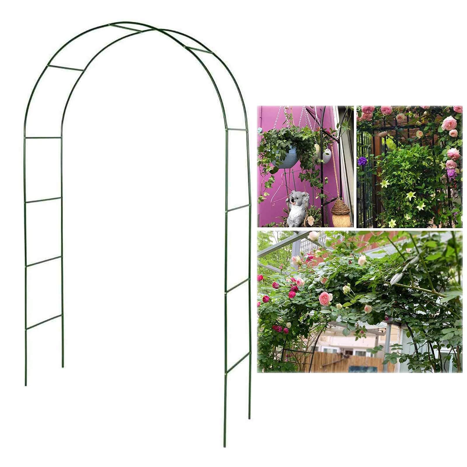 Arche de Jardin pour plantes grimpantes tonnelle en métal extérieur