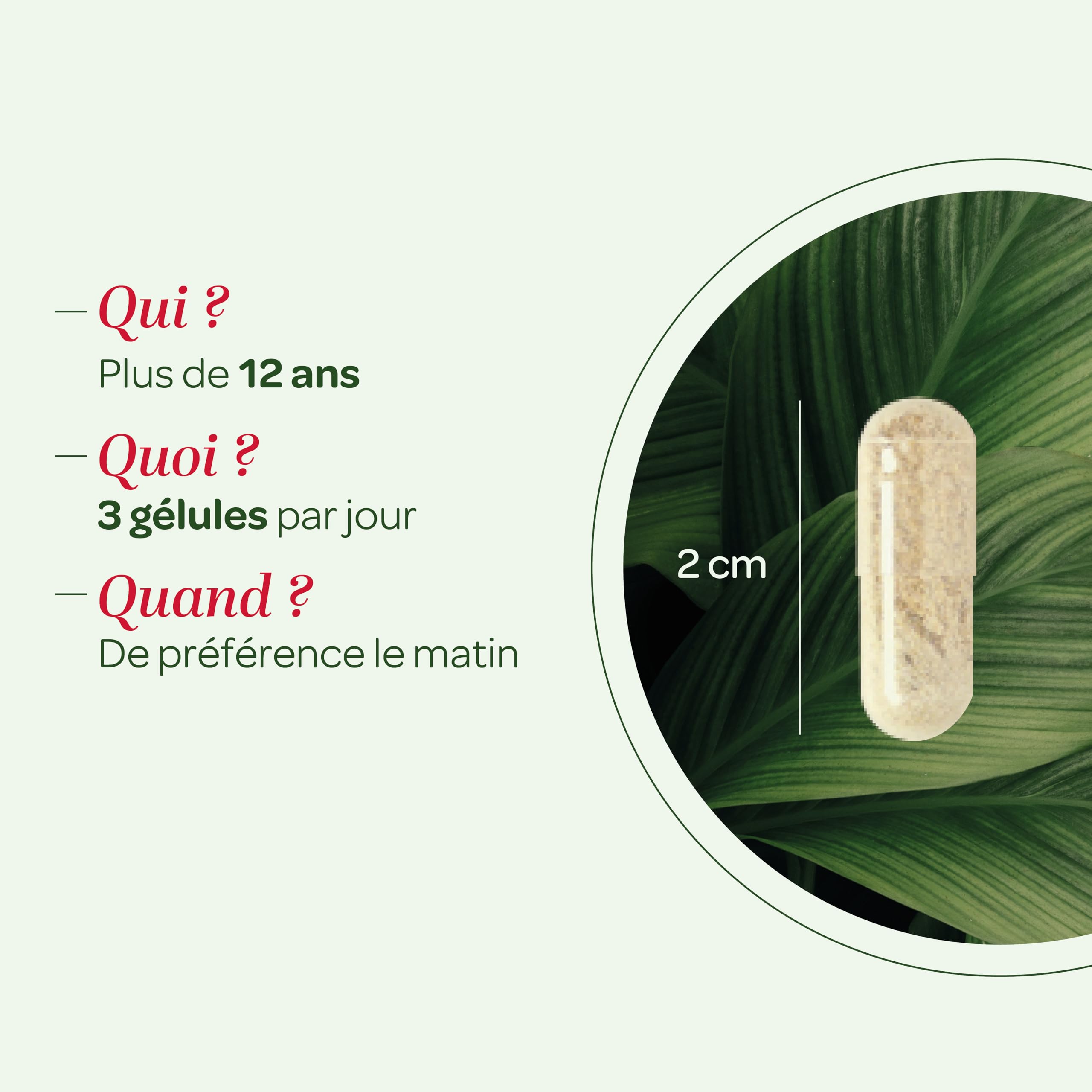 SUPERDIET - CURCUMA PIPÉRINE BIO - Articulations - Fabrication française - 120 gélules