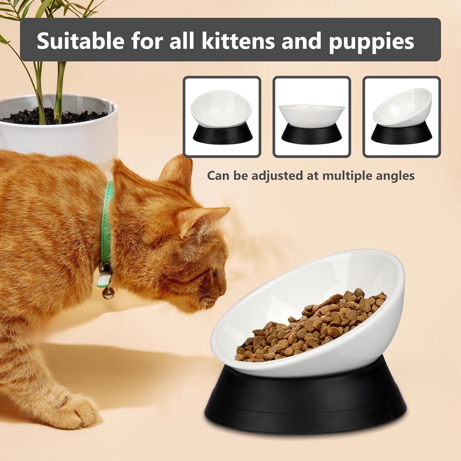 French Bulldog Food Bowl- Slanted Tilted Pug Food Water Bowl,Cat Bowl- Feeder for Frenchie/Shih Tzu/Flat Faced Small Dogs/Puppies/Cats (White（Ceramic）, 2 Cup)