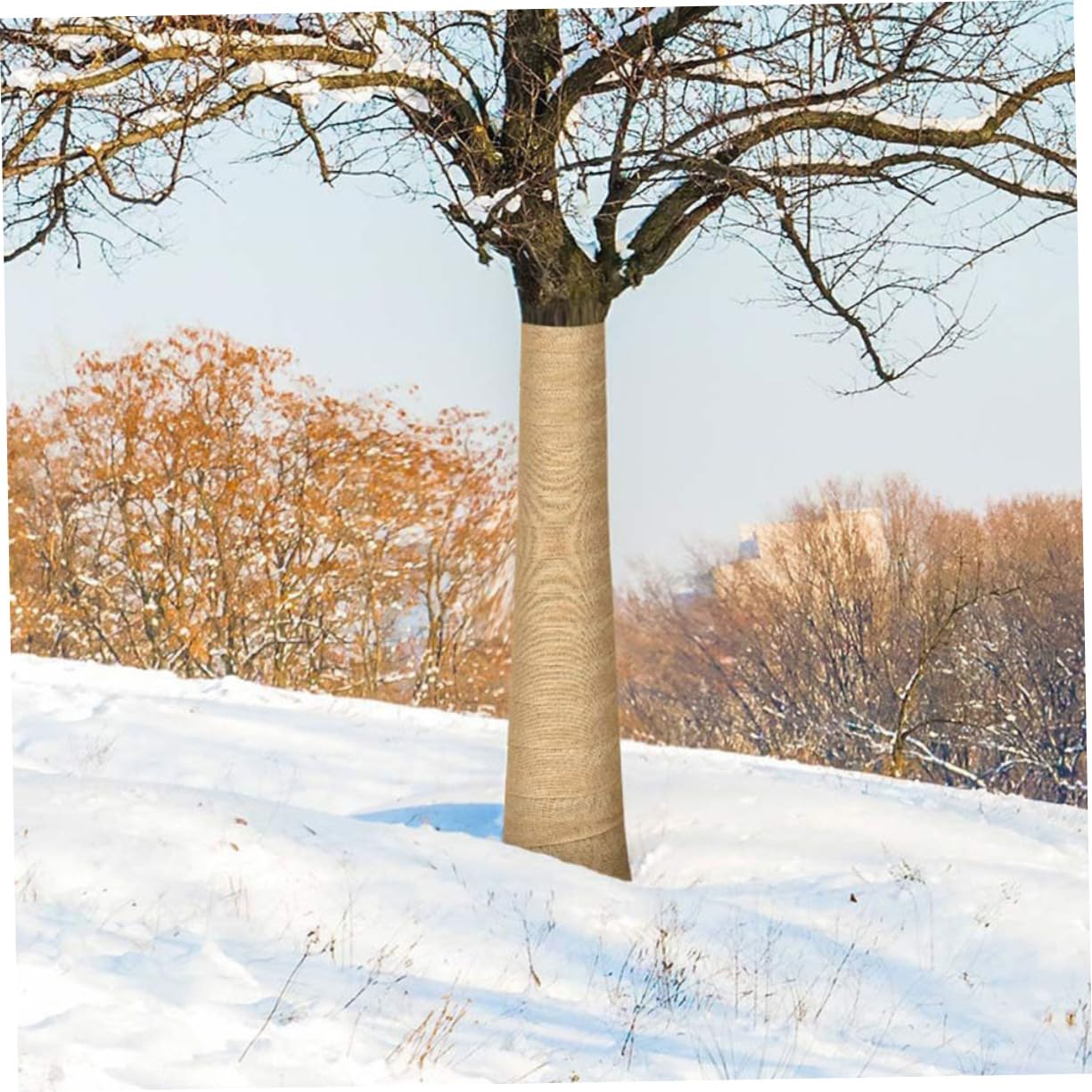 Garneck 4 Pezzi Juta Naturalper Piante Durante Pratiche per Avvolgere Tronchi Diverse Riutilizzabile e Contribuisce Giardinaggio Sostenibile e Rispettoso Facilita Protezione Contro