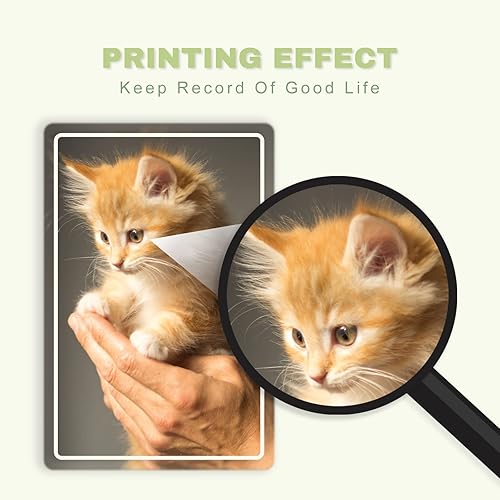 Miniatura 4 de L2KB Cartuchos de tinta 951XL para impresoras HP 951 para cartuchos de tinta HP Officejet PRO 8600 8100 8110 8610 8615 8616 8620 8625 8630 8640 8660