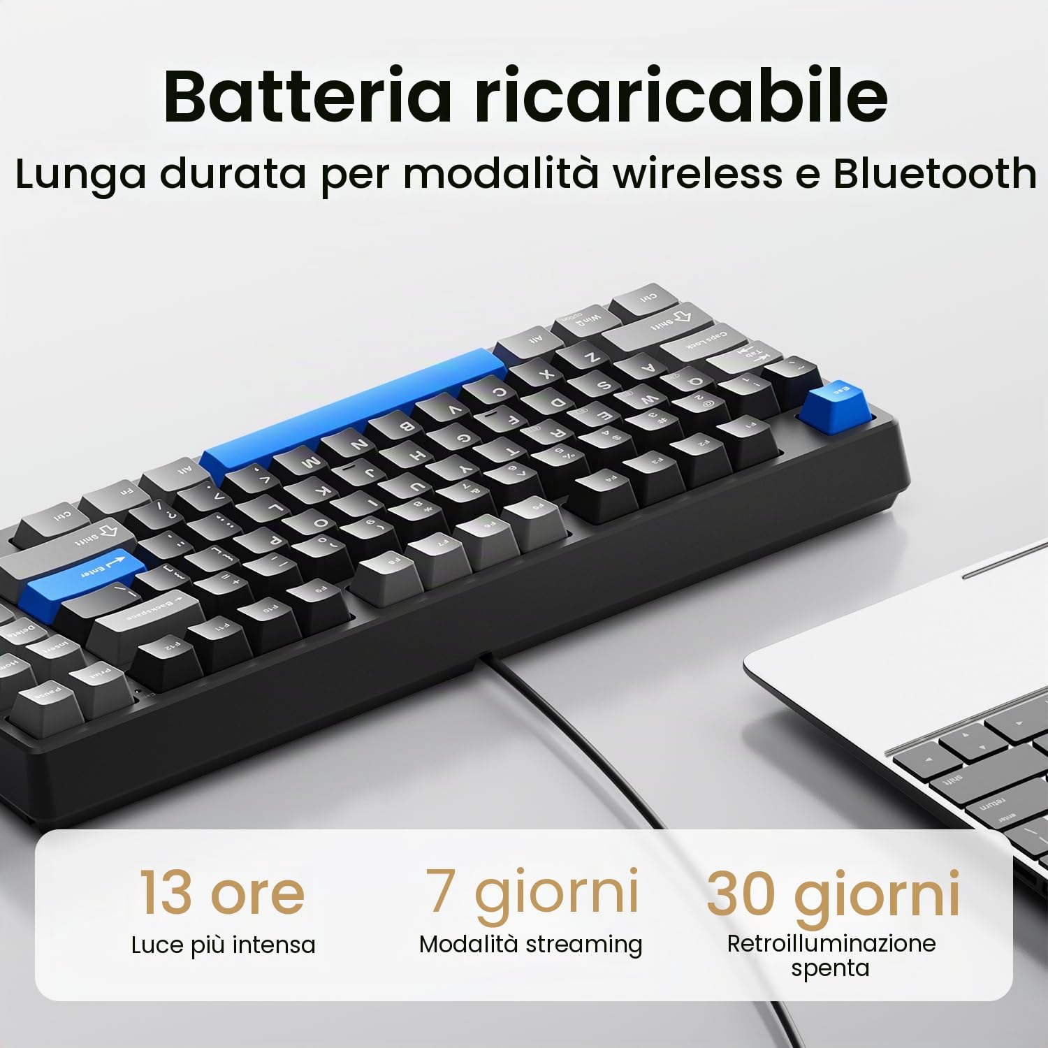 Kisnt Tastiera meccanica wireless, guarnizione montata con suono cremoso, Bluetooth/2,4 GHz/USB-C, hot swap personalizzato, retroilluminazione RGB, layout compatto al 75% per gaming/digitazione/Win