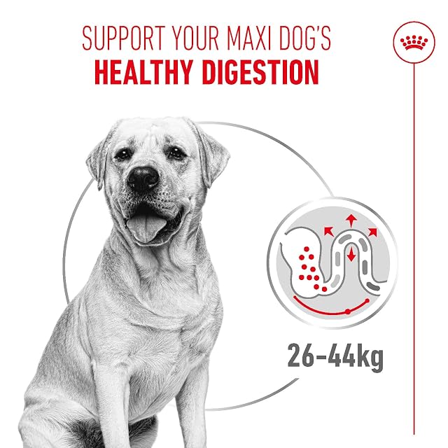 Foto 3 de 8 de Royal Canine Adult Maxi Digestive Care 12KG