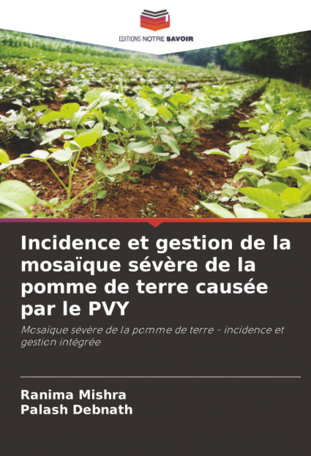 Incidence et gestion de la mosaïque sévère de la pomme de terre causée par le PVY: Mosaïque sévère de la pomme de terre - incidence et gestion intégrée