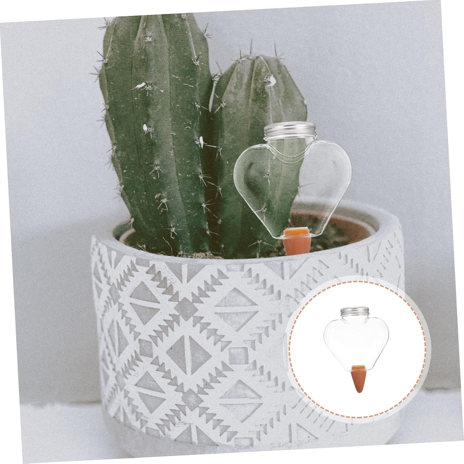 GANAZONO 4pcs Automatic Watering Device for Plants Watering Globes Pointed Tip Design for Easy Insertion for Garden Patio and Lawn Care