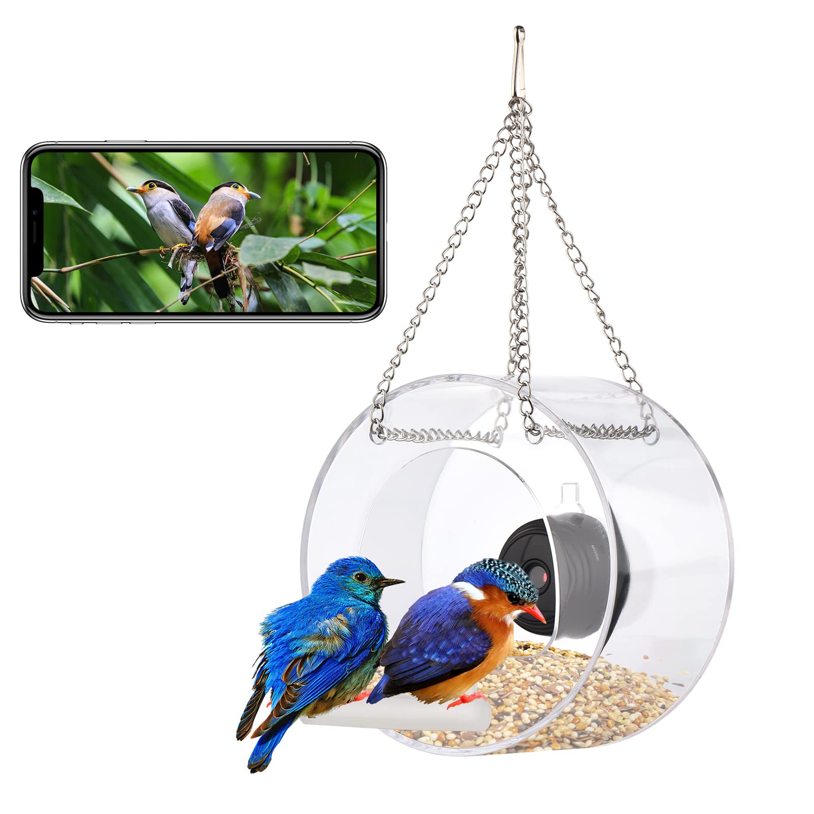 HUIOP Comedero para pájaros con Ventana Transparente con Ventosa para cámara WiFi, comedero para pájaros Redondo Transparente Inteligente con Tarjeta TF de 16 GB para Tomar Fotos, grabación de vídeo,