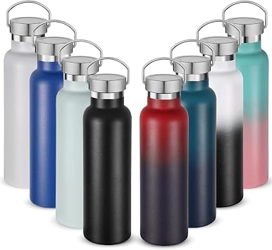 Neihepal 20 oz Insulated Water Bottles,Stainless Steel Double Wall Sport Bottle with Lid of Handle 8, Eight Color