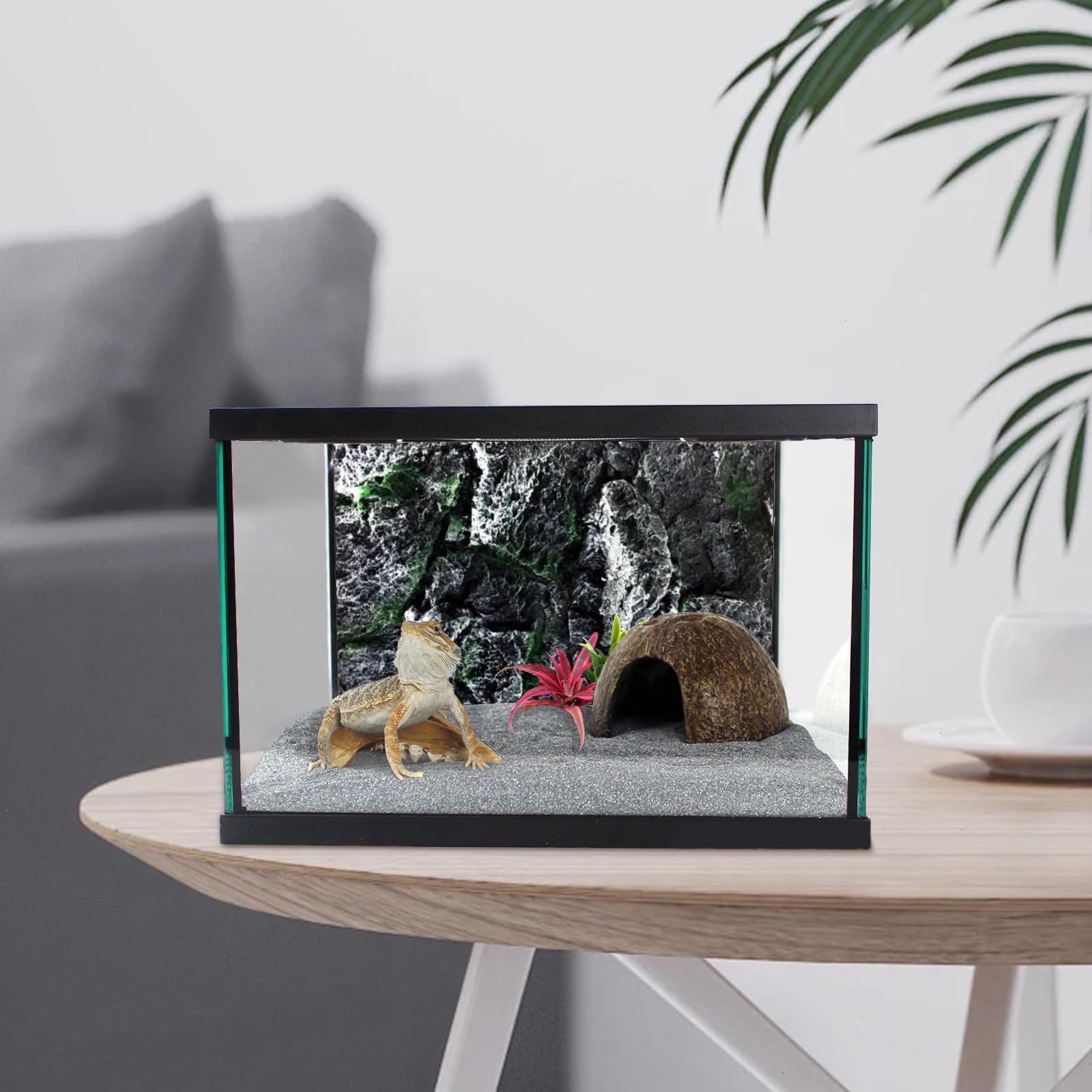 Terrario in vetro per rettili, 30,5 x 30,5 x 20,3 cm, vista completa con ventilazione superiore, gabbia per habitat per anfibi, rane, ragni, scarafaggi Dubia, mantide religiosa, cricket,