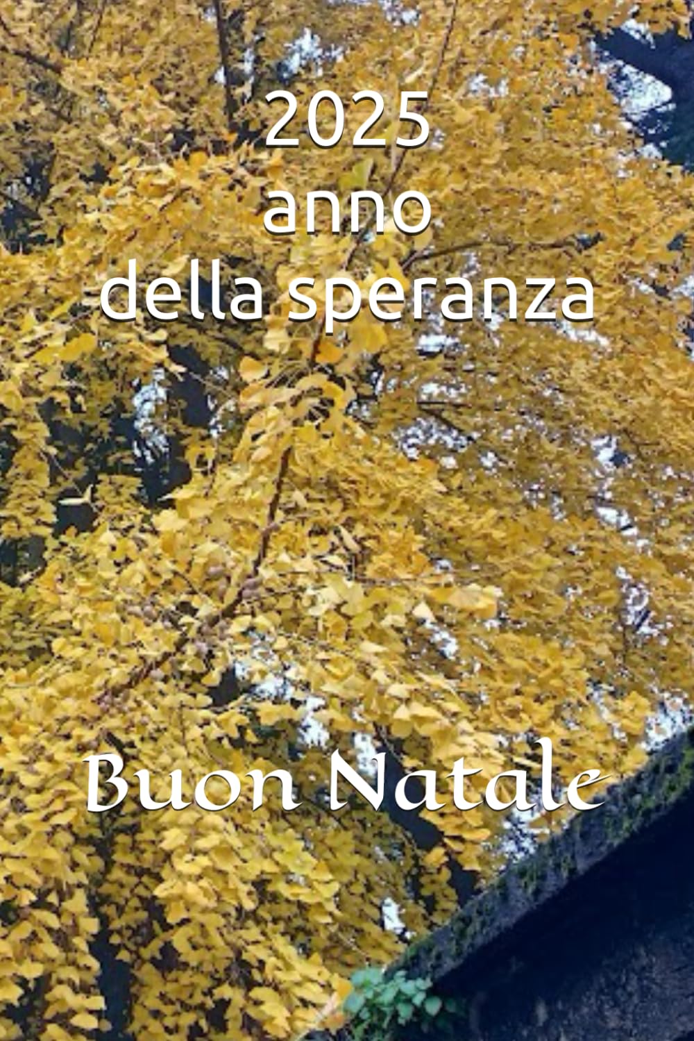 2025 anno della speranza: Buon Natale