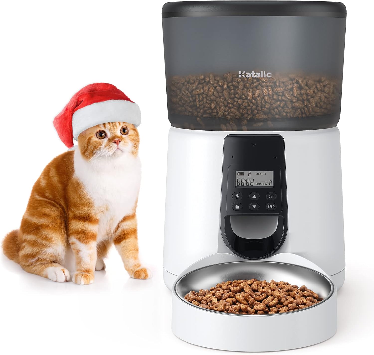 programmable cat feeder