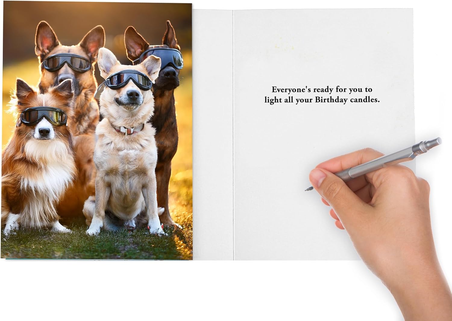 Funny Dog Birthday Card for Women, Men, Family & Friends – Humorous Pet Greeting Card for those with too many candles on their cake! - Image 3