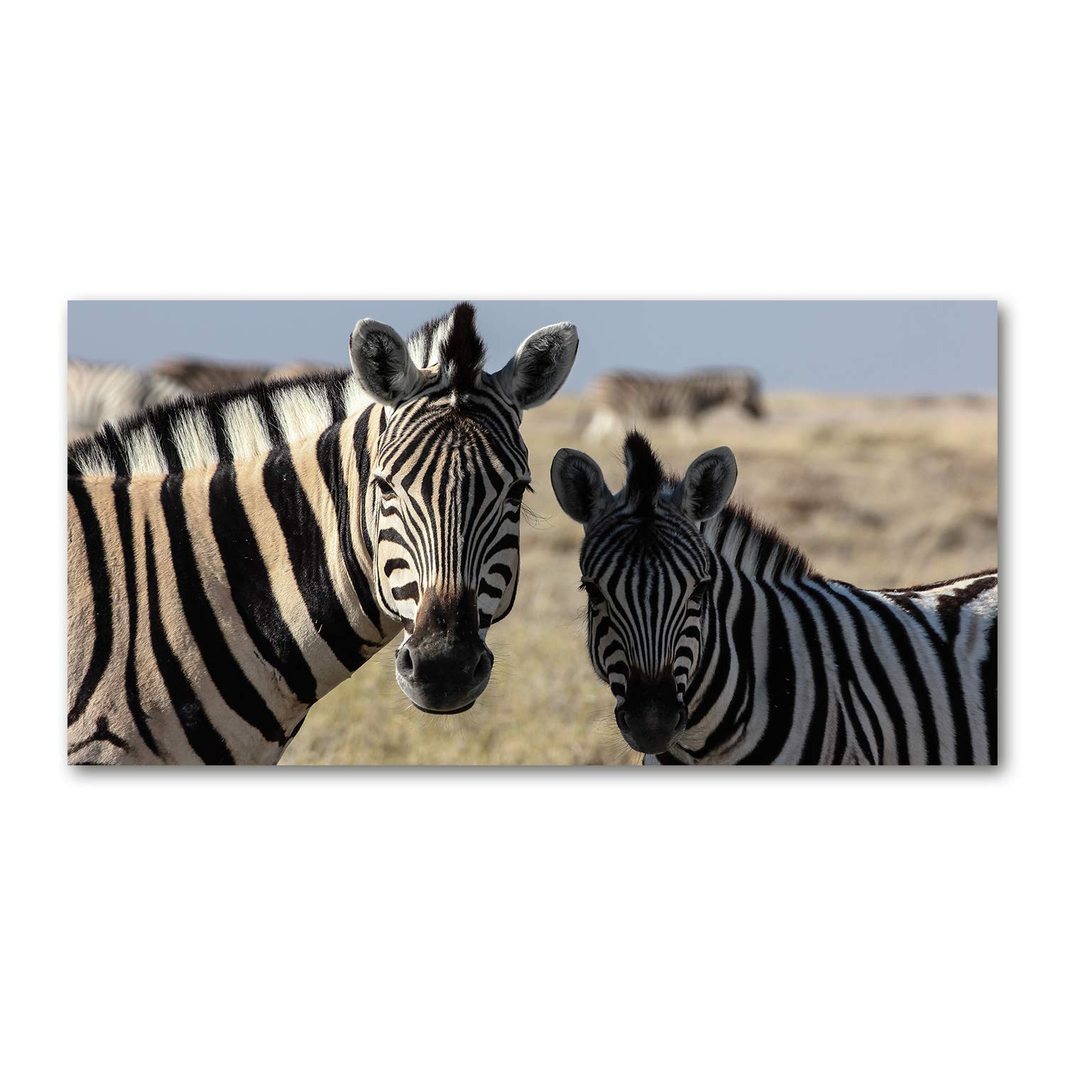 Mural acrylic glass picture Animaux d'exception avec finition brillante Tulup