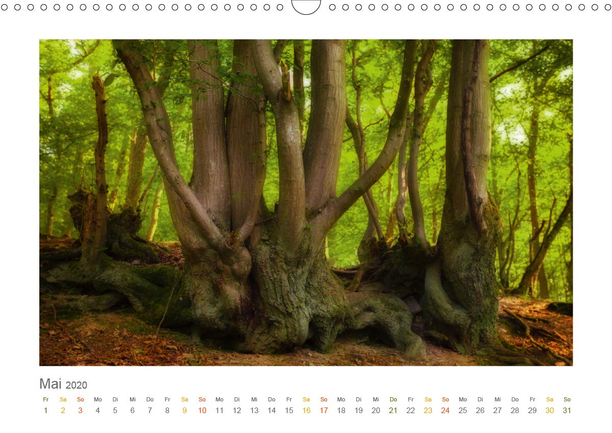 Im Märchenwald des Untertaunus (Wandkalender 2020 DIN A3 quer): Monatskalender, 14 Seiten, farbig (Monatskalender, 14 Seiten ) (CALVENDO Natur)