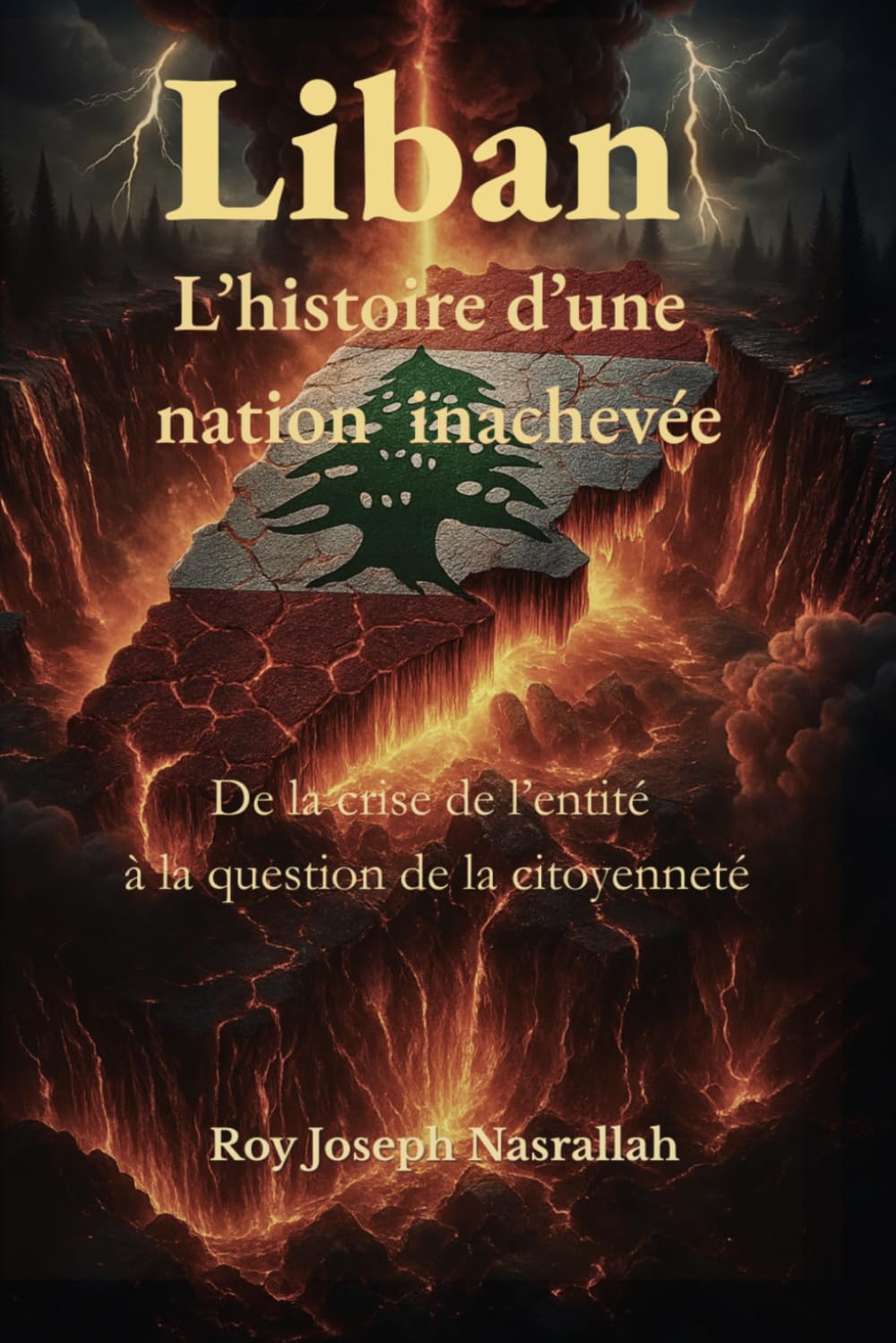 Liban L’histoire d’une nation inachevée: De la crise de l’entité à la question de la citoyenneté