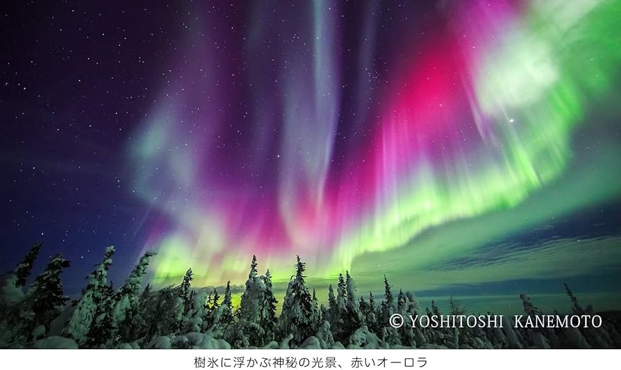 Amazon.co.jp: Seventh Heaven ALASKA Vol.7 アラスカ渡航50回記念作品 Amazon.co.jp: Seventh Heaven ALASKA Vol.7 アラスカ渡航50回記念作品