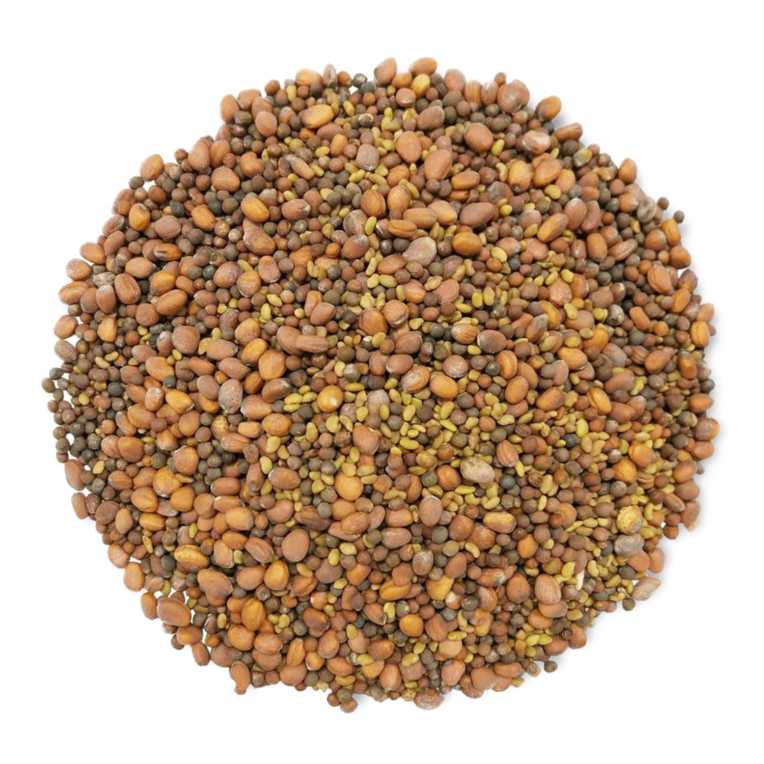 Food to Live Organic Spicy Mix of Sprouting Seeds, 1.5 Pounds — Non-GMO Broccoli, Radish, Alfalfa, Raw, Rich Germination Rate, Non-Irradiated, Pure, Kosher, Vegan Superfood, Bulk, Rich Sulforaphane