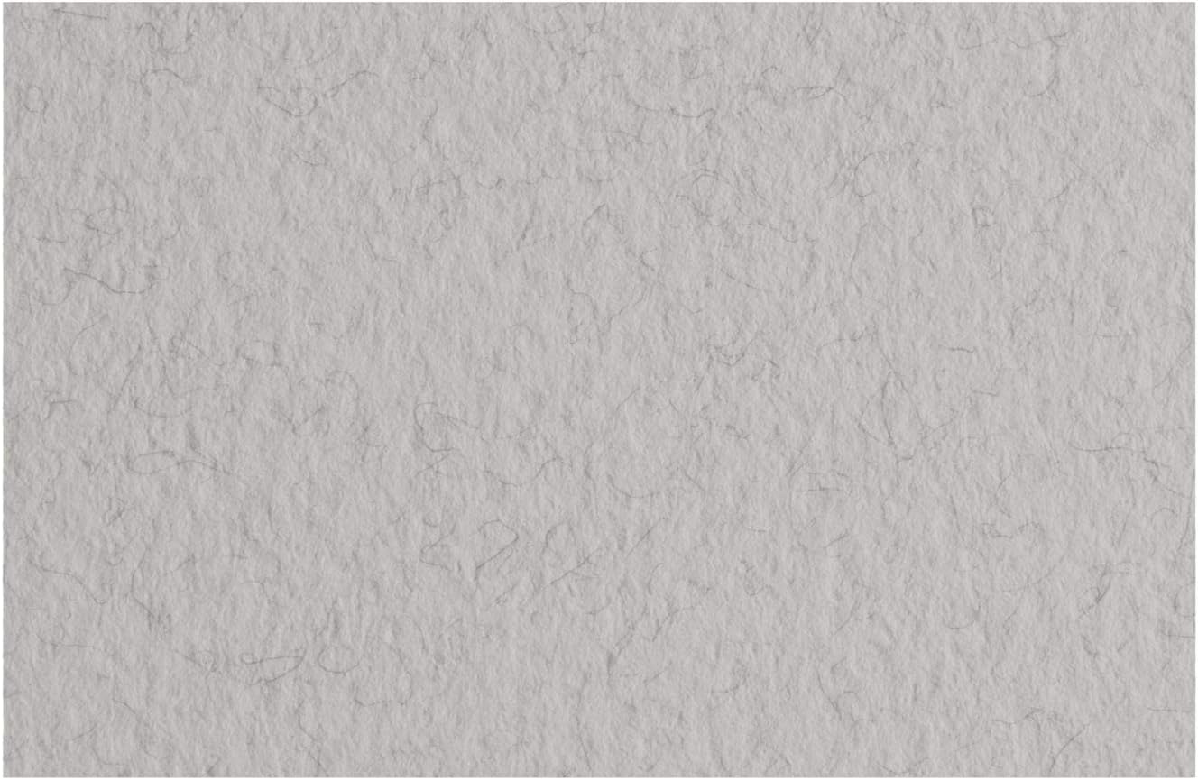 Honsell Fabriano Tiziano 21297129 Pastel Paper Nebbia DIN A4 50 Sheets 160 g/m² High Capacity Acid-Free and Age-Resistant Non-Slip Rough Surface