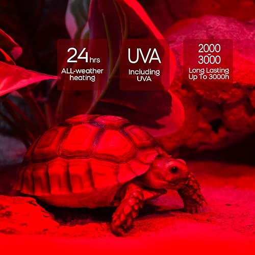 Miniatura 9 de WACOOL Paquete de 2 bombillas de calor para reptiles, luz infrarroja de 75 W para reptiles y anfibios, bombilla de calor roja para pollos,