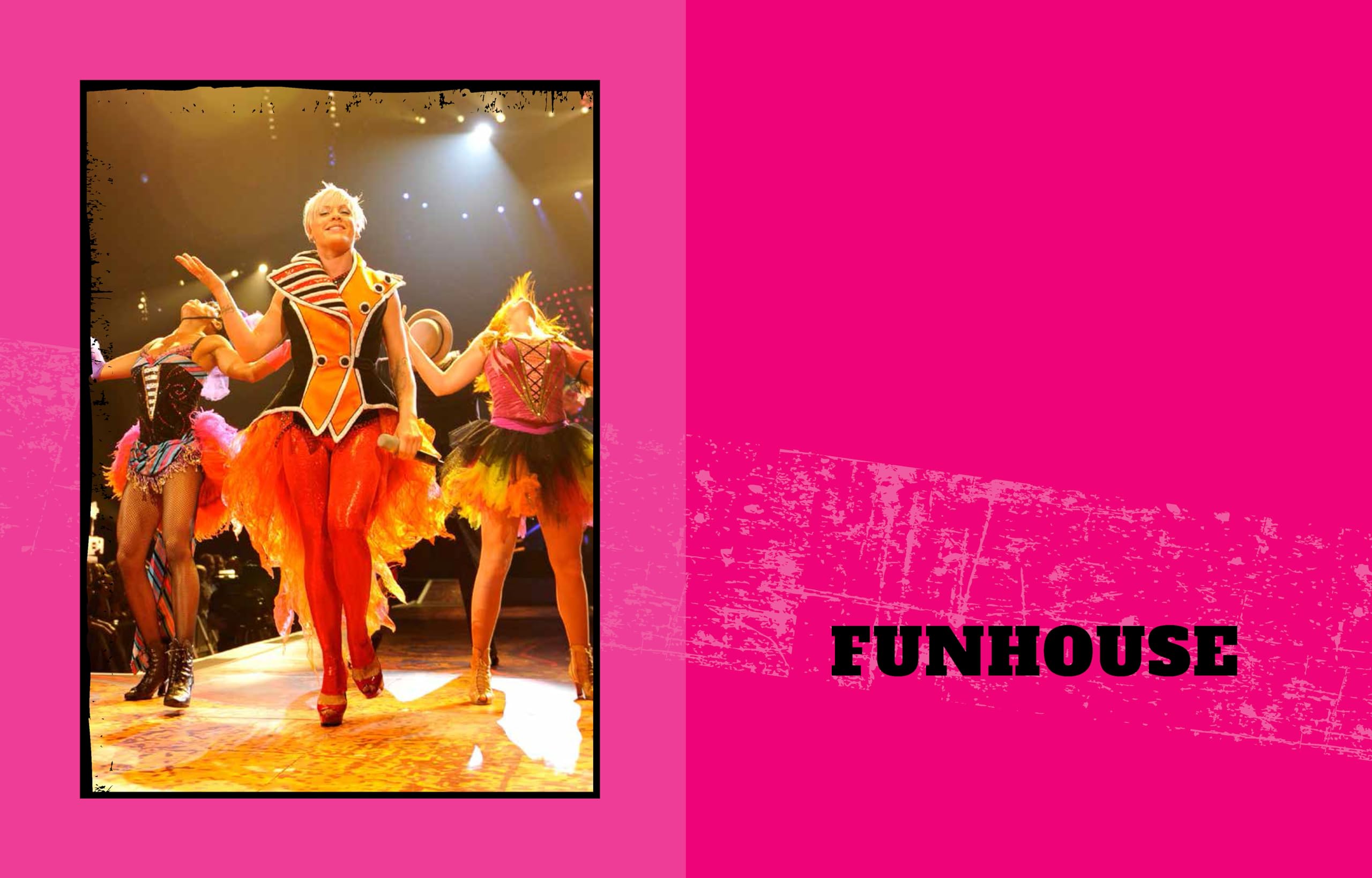 Pink: Raise Your Glass