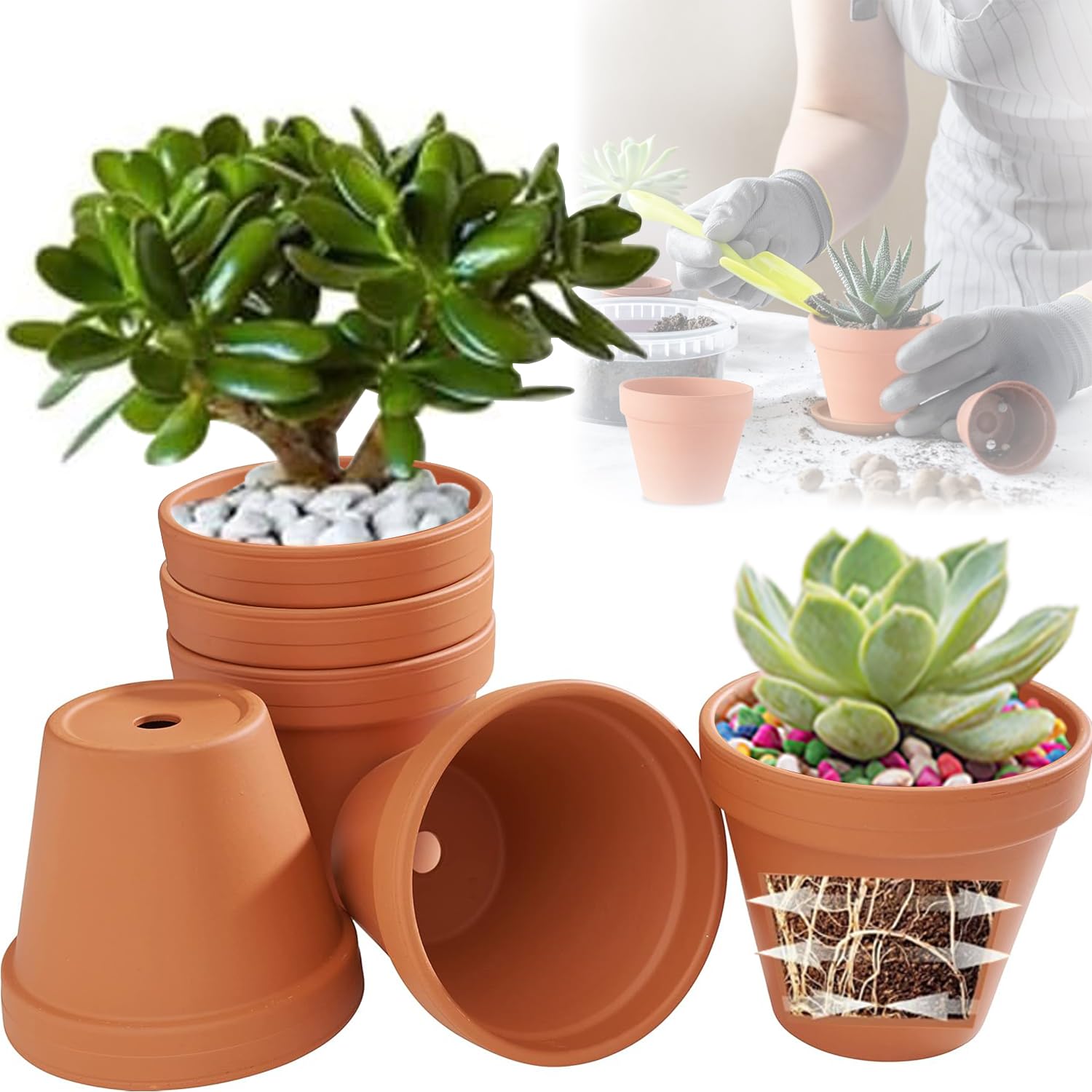 Vaso in terracotta Ø 12 cm, set da 6 vasi in terracotta, vasi in argilla con foro di scarico, piccoli vasi in terracotta per lavori fai da te, vaso in terracotta riutilizzabile, per interni