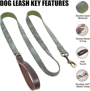 Didog Nylon Step in Dog Harness and Leather Dog Leash Set 4.5FT for Small Dogs