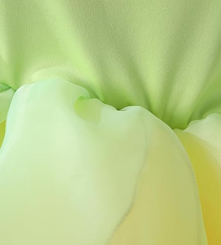 Vista 5 de TYHTYM Disfraces de princesa de lujo, vestido para niñas pequeñas, disfraz de cosplay, fiesta de Halloween, 2-11T